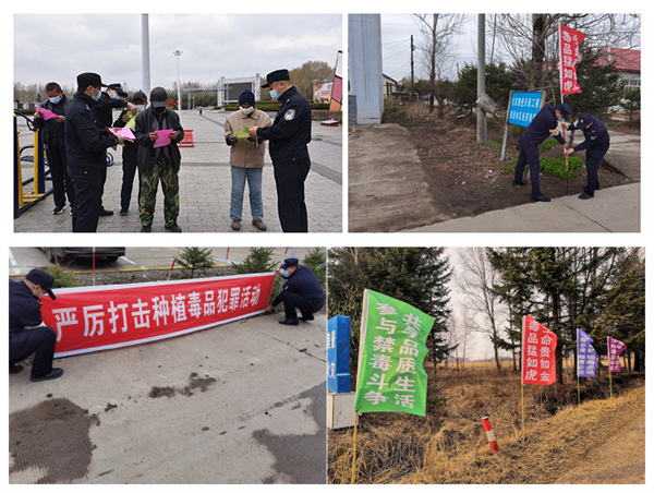 图片12.png