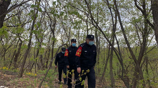 图片19.png