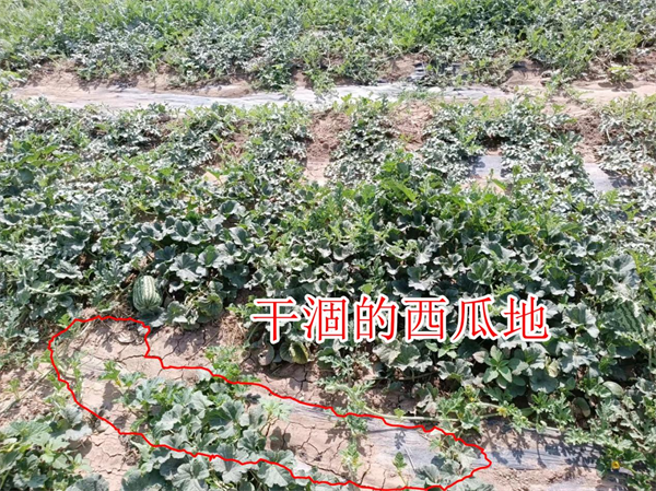 图片27.png