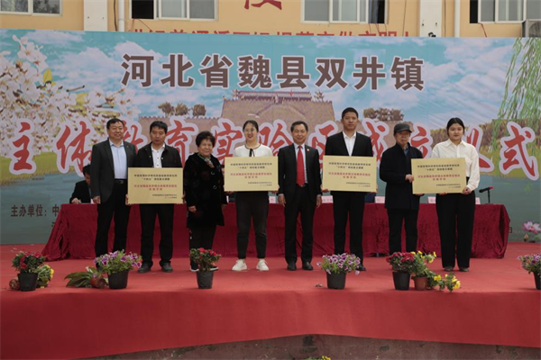 图片13.png